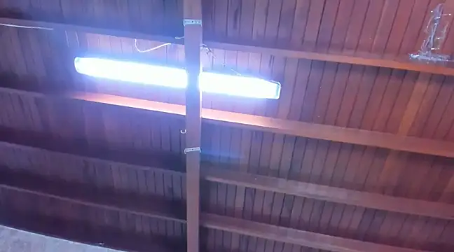 Snapshot of jeicob_gagnon chatting on March 2025 06:34:01 PM jeicob gagnon online show from March 2025 06:34:01 PM