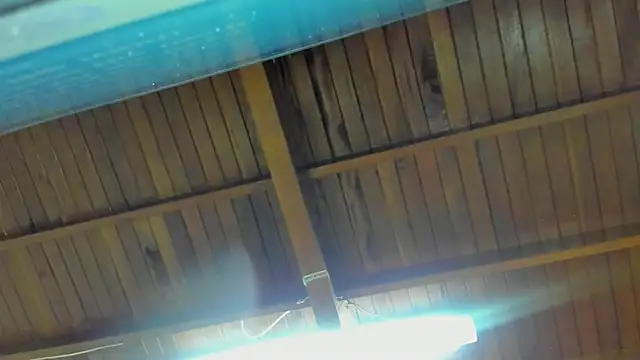 Snapshot of jeicob_gagnon chatting on September 2025 02:00:02 AM jeicob gagnon online show from September 2025 02:00:02 AM