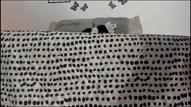 Keiny-Rave online show from March 2025 01:32:01 AM