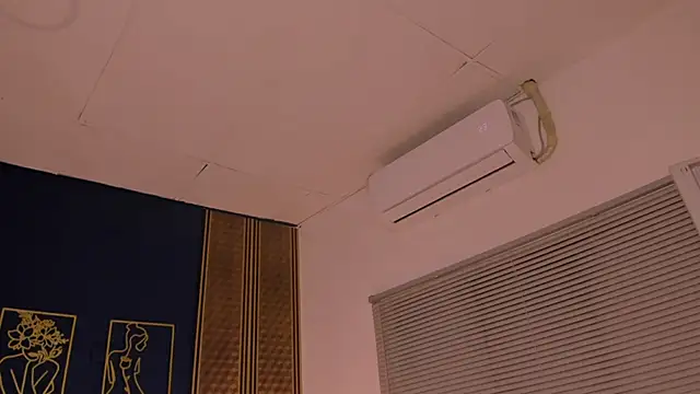  dakota a online show from January 2025 12:46:02 AM