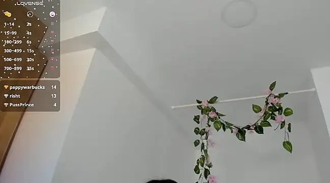 Ninna--1 online show from January 2025 06:49:01 PM