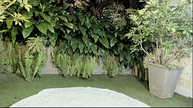 loladupont online show from September 2025 03:06:01 AM