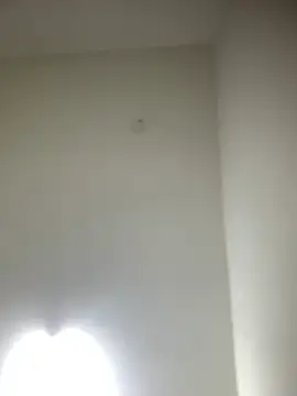 Snapshot of bidex002 chatting on May 2026 11:23:04 PM bidex002 online show from May 2026 11:23:04 PM