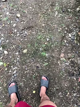 seven7xis online show from January 2025 09:09:02 PM