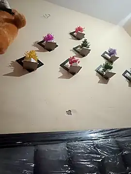 Soniya 444 online show from March 2026 03:03:02 PM