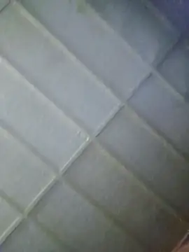 zaneporter46 online show from February 2026 06:12:02 PM