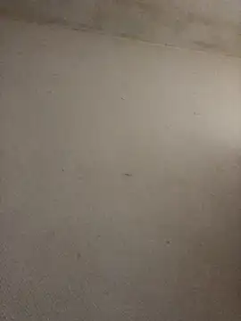 BELLAMORGANE1 online show from November 2025 09:22:01 AM