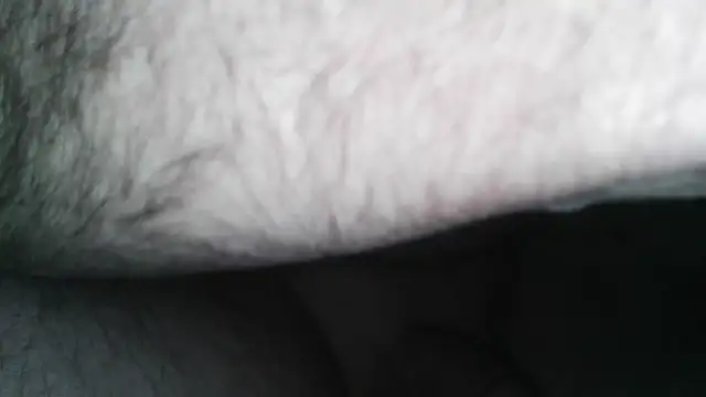 Snapshot of henry_county_couple2 chatting on April 2026 04:41:02 AM henry county couple2 online show from April 2026 04:41:02 AM