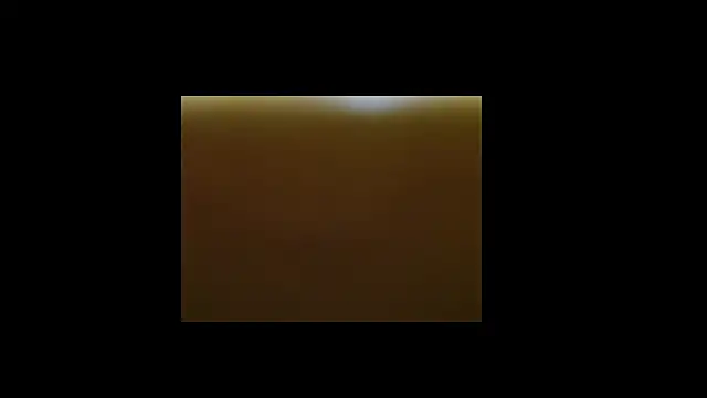 berberson online show from December 2024 08:43:02 AM