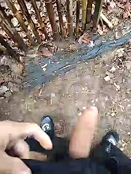 puertordic online show from December 2024 01:38:02 PM