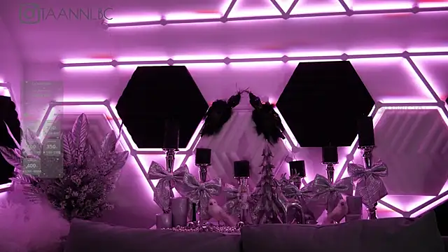 taanni bc online show from January 2025 03:08:01 AM