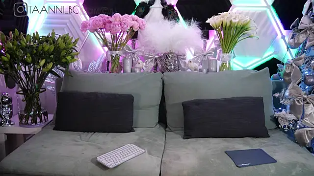 taanni bc online show from January 2025 12:28:01 AM