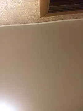 Snapshot of Prolisok473 chatting on January 2025 03:29:02 PM Prolisok473 online show from January 2025 03:29:02 PM