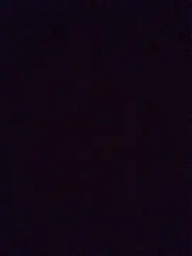 Snapshot of Prolisok473 chatting on February 2025 06:19:01 PM Prolisok473 online show from February 2025 06:19:01 PM