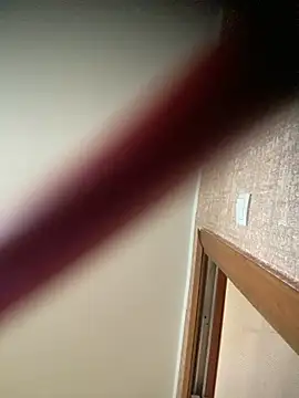 Snapshot of Prolisok473 chatting on March 2025 01:19:02 PM Prolisok473 online show from March 2025 01:19:02 PM