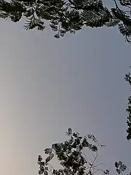 Snapshot of Whitehouse01 chatting on December 2024 01:56:01 AM Whitehouse01 online show from December 2024 01:56:01 AM