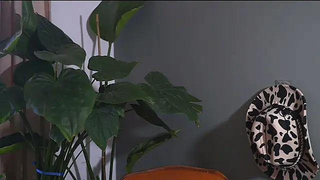 HairyRobxxx online show from September 2025 10:05:01 AM