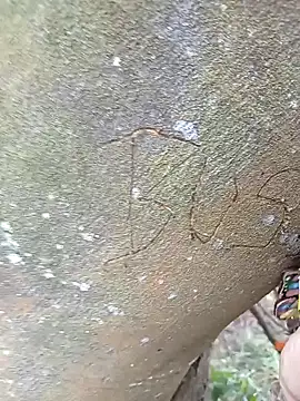 BELLA--26 online show from February 2025 03:07:01 PM