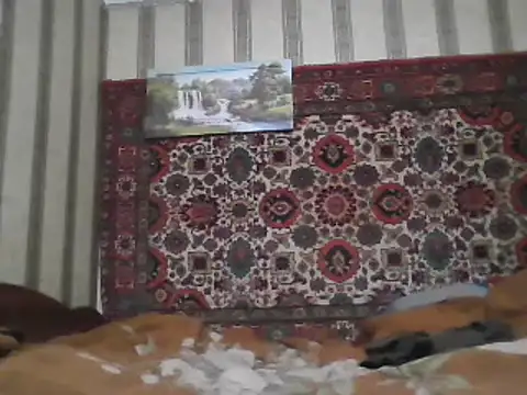 AlferezzSolvajo online show from February 2025 05:56:02 PM
