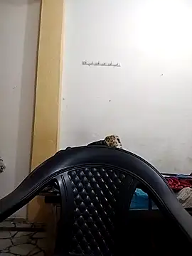 priyancyfun online show from March 2025 04:18:02 PM