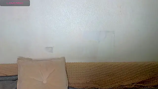 emilytrays online show from February 2026 07:30:01 AM