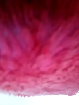 Samara-Bella online show from January 2026 05:22:01 AM