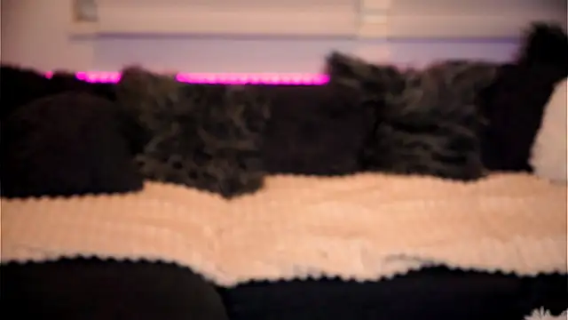 Snapshot of sweet_rapunzell chatting on February 2026 12:59:01 AM sweet rapunzell online show from February 2026 12:59:01 AM