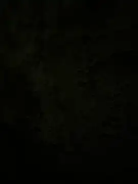 Snapshot of Lilymoonshow chatting on February 2025 02:31:01 AM Lilymoonshow online show from February 2025 02:31:01 AM