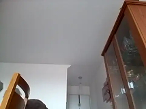 Munnoki online show from January 2026 09:36:02 AM