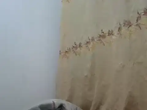 Snapshot of Sr_JakoXXXX chatting on February 2025 07:55:02 AM Sr JakoXXXX online show from February 2025 07:55:02 AM