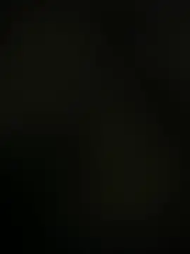 zedmitch online show from July 2026 08:42:01 AM