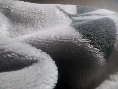 LaneYam online show from March 2026 08:26:02 PM