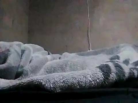 LaneYam online show from March 2026 08:03:01 PM