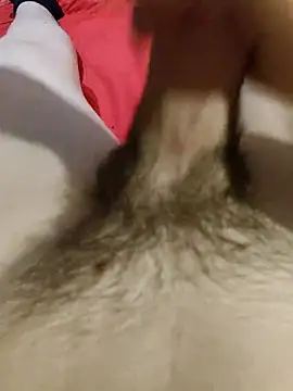 tbz49 online show from April 2026 03:58:01 PM