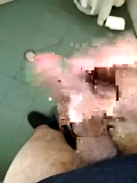 arveia online show from March 2026 01:37:02 PM