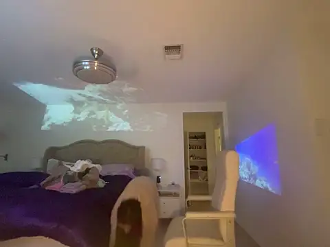 geld 88 online show from October 2025 08:23:01 AM