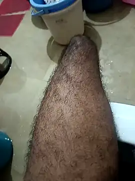 Royyy dandol online show from January 2025 02:43:02 AM