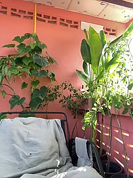 White Lu online show from April 2026 02:17:01 AM