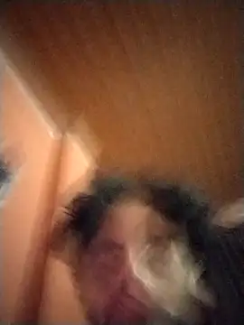 Snapshot of Nooneisthis chatting on February 2025 07:20:01 AM Nooneisthis online show from February 2025 07:20:01 AM