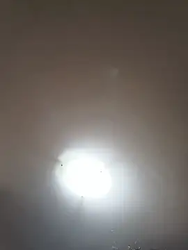 Snapshot of topina8 chatting on June 2026 02:17:02 PM topina8 online show from June 2026 02:17:02 PM