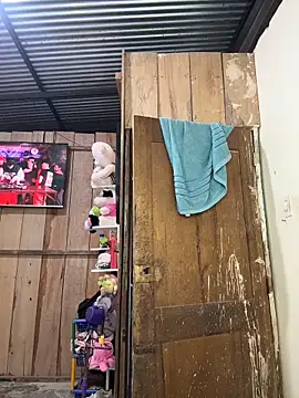 kanper online show from November 2025 01:04:01 PM