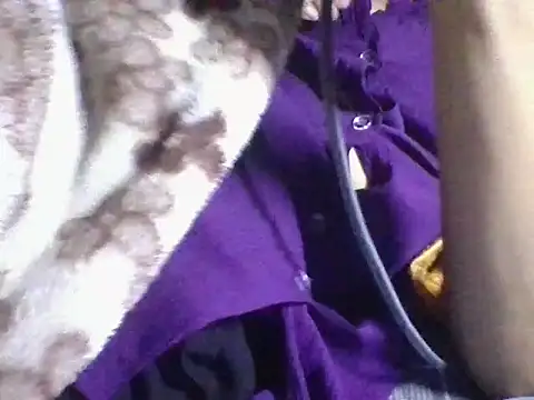 Snapshot of AKANSHA_7 chatting on November 2025 04:53:02 PM AKANSHA 7 online show from November 2025 04:53:02 PM