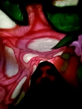 Nightservice27 online show from February 2025 03:45:02 AM