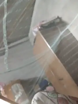 birds0641 online show from March 2026 07:36:02 PM