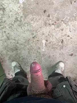 bigplut online show from February 2025 12:59:02 PM