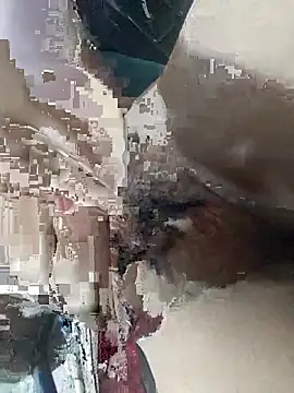 bjshbigd online show from September 2025 04:23:02 PM