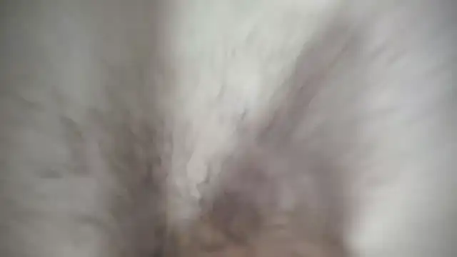 Ivyrose4999 online show from January 2025 05:11:02 PM