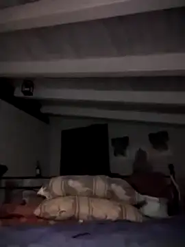 Snapshot of divinaerotica chatting on November 2025 05:48:02 PM divinaerotica online show from November 2025 05:48:02 PM