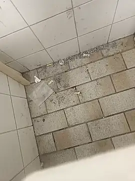 Snapshot of wadmma chatting on November 2025 08:47:01 AM wadmma online show from November 2025 08:47:01 AM