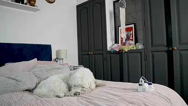 tattoo ninja kittyy online show from October 2025 08:21:02 PM